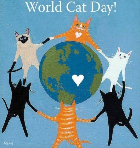 world cat day