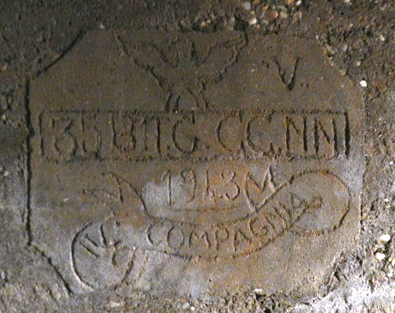 polyvoleia marikes02