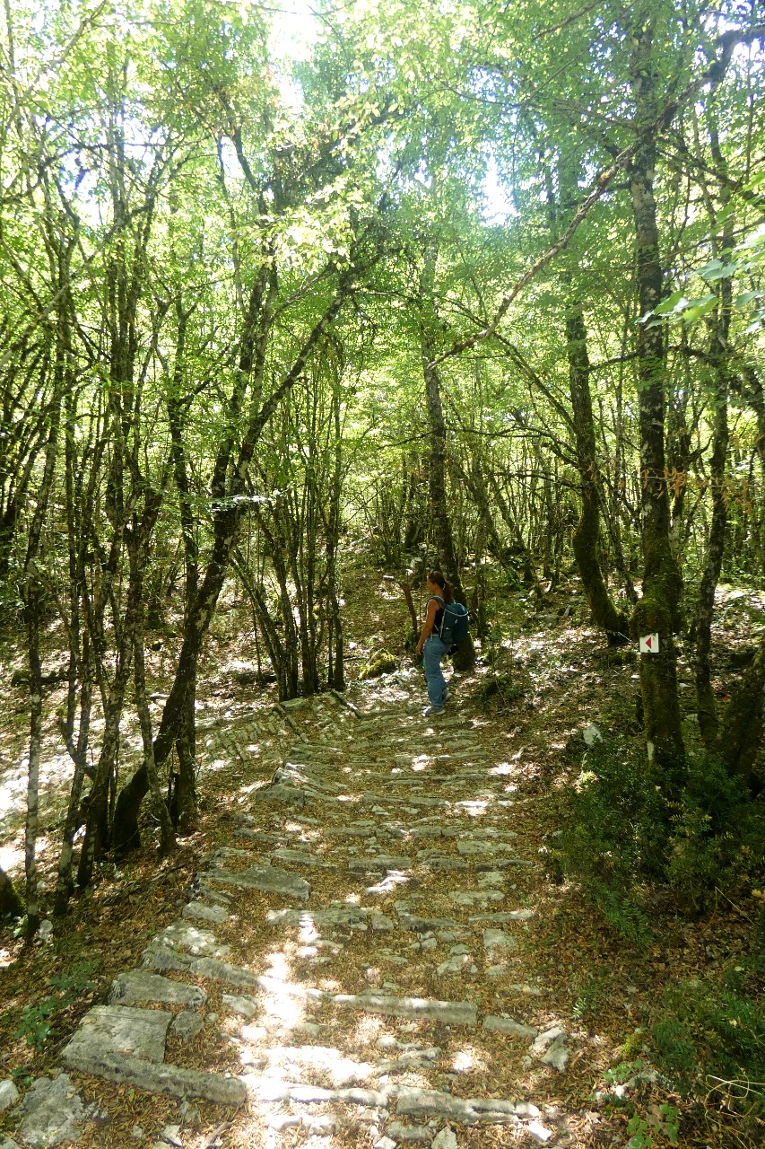 zagori15