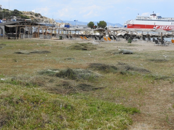 Τα βούρλα και η διαχείριση του παράκτιου οικοσυστήματος