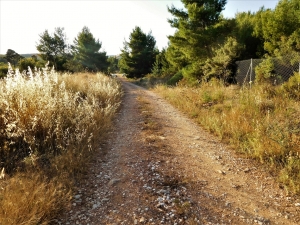 Ανατολικό Πεντελικό και καλοκαίρι του 2020