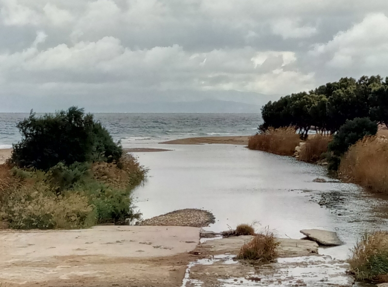 Η εκβολή του Μεγάλου Ρέματος Ραφήνας. Υγρότοπος που προστατεύει η AEWA