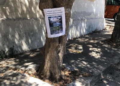 Σώστε το αστικό πράσινο της Ραφήνας! ΟΧΙ στις κοπές των δέντρων στα πεζοδρόμια της πόλης