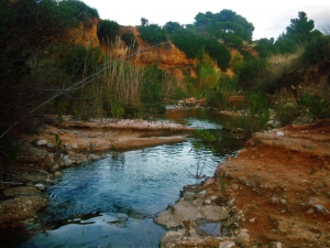 Όταν ο κάτοικος της Αττικής σεβόταν και αγαπούσε τη Φύση