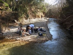 Γιατί καταστρέφουν το Μεγάλο Ρέμα της Ραφήνας;