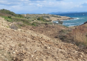 Κυριακή 10/4/2022 ώρα 11:00 Εθελοντική δράση ποτίσματος των φρεσκοφυτεμένων στο Μπλε Λιμανάκι