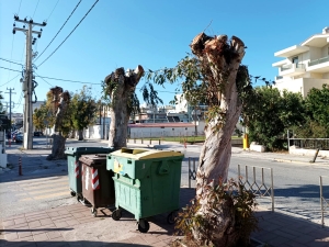 Πώς τους πετσόκοψες έτσι;