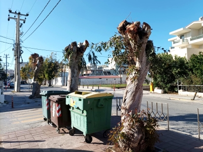 Πώς τους πετσόκοψες έτσι;