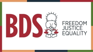 Τι είναι το BDS