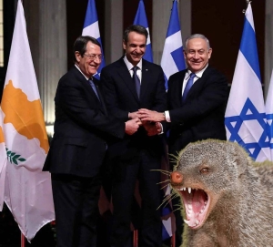 Οι μαγκούστες και το Ισραήλ