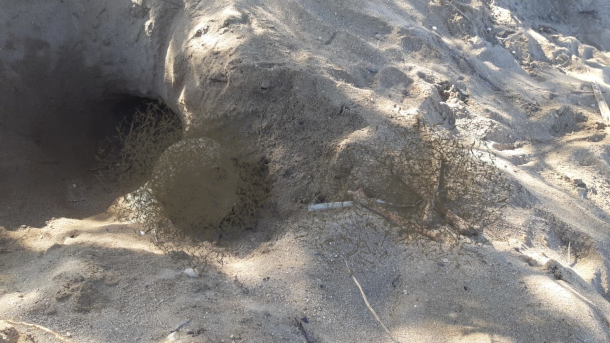 Μακάβρια ευρήματα στην παραλία Μαρίκες της Ραφήνας