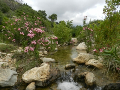 Απο το Μεγάλο Ρέμα Ραφήνας στην αθέατη πλευρά των μαζικών καταστροφών