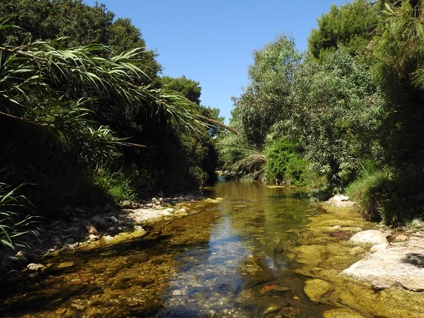 Οδοιπορικό στο Μεγάλο Ρέμα Ραφήνας, μέρος Β’ (24/5/2020)